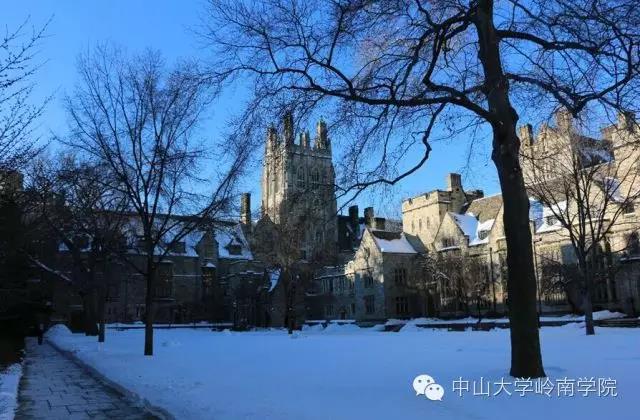 耶鲁大学校园